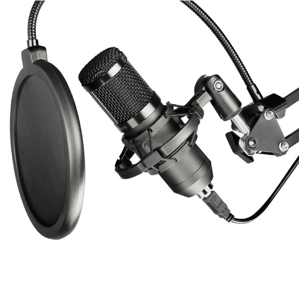 ART condenser microphone on a boom with a diaphragm AC-03 black - Image 1
