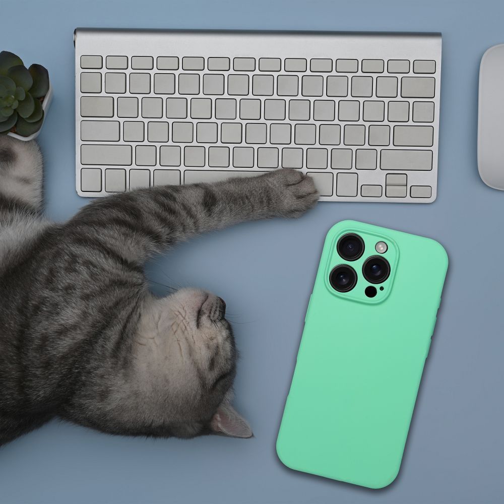 Case SILICONE 2mm for IPHONE 17 compatible with MagSafe mint - Image 2