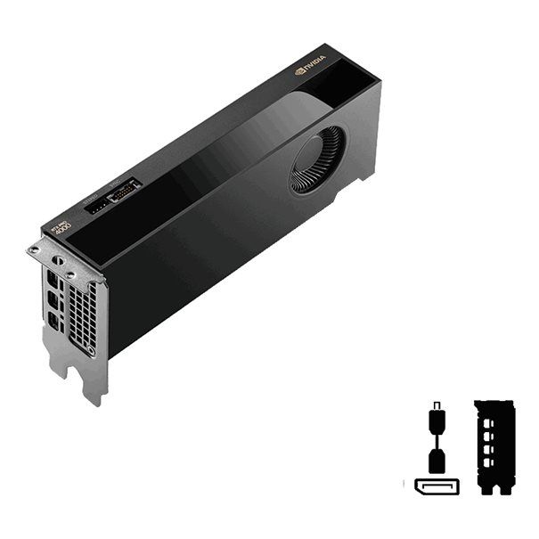 PNY 24GB RTX Pro 4000 Blackwell SFF 4xmDP LP Smallbox (without Adapter) - Image 5