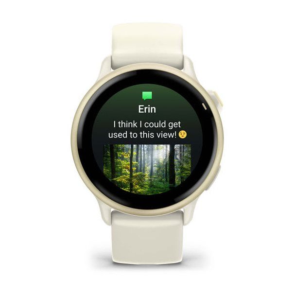 Garmin Vivoactive 6 Smartwatch bone/lunargold - Image 2